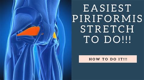 My back hurts, they say, as they point right at the top of their buttocks. BEST Piriformis Muscle Stretch For Low Back Pain, Hip Pain & Sciatica! - YouTube