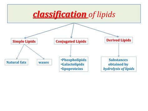 Classification Of Lipids Flowchart