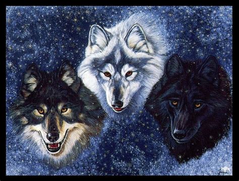 Wolf Spirit Animal Wallpaper