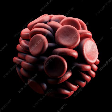 Blood Clot Illustration Stock Image C0486927 Science Photo Library