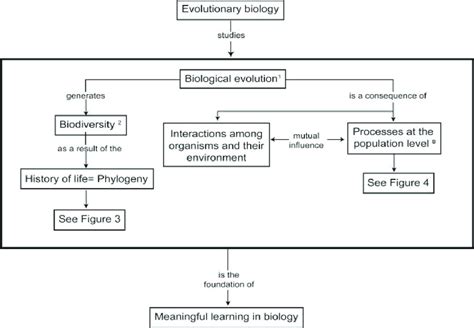 Concept Map Of Evolutionary Biology Showing The Two Components Of