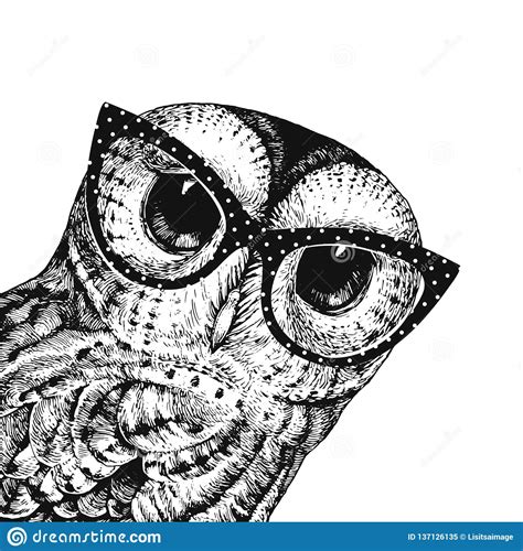 Cute Owl Illustration Wearing Glasses Vector Illustration