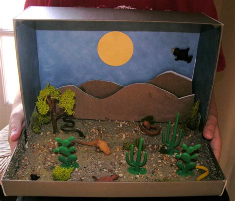 How To Make A Desert Diorama Craft