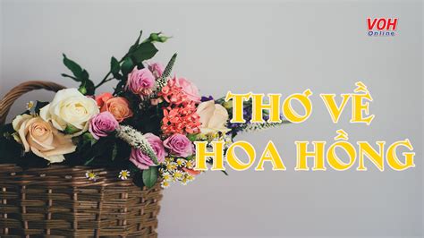 Top 20 Thơ Về Hoa Hồng Tím Hay Nhất 2022 Eu Vietnam Business Network