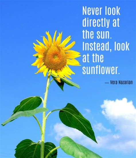 Sunflower Quotes 20 Best Sunflower Sayings With Images