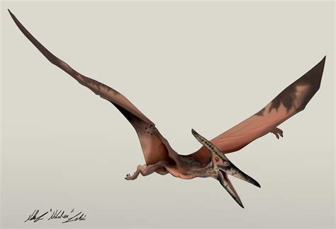 Jurassic Park Pteranodon By Nikorex On Deviantart