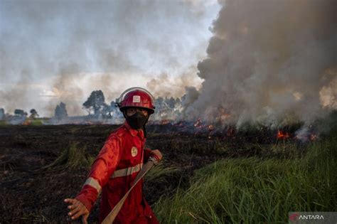 Upaya Pemadaman Kebakaran Lahan Di Ogan Ilir Antara News