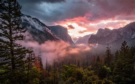 Yosemite Valley Stones Usa Merced River El Capitan Sunset Firs
