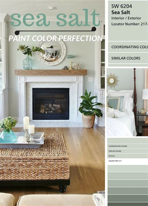 Why I Love Sherwin Williams Sea Salt Paint Color Paint Colors For