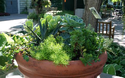 15 Wonderful Fall Container Garden Ideas That Will Amaze You