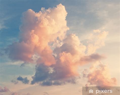 Pink Clouds Against A Blue Sky Wall Mural Pixers We