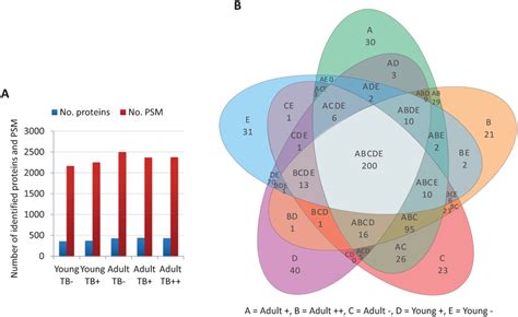 Proteomics Results In Wild Boar Mandibular Lymph Nodes A Proteins