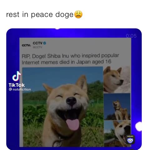 Rest In Peace Doge😩 Thedarksideofmemes Memes