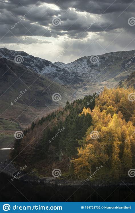 Beautiful Landscape Image Of Autumn Fall With Vibrant Pine