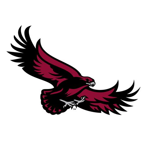 Hawks Logo Png Hawks Logo Png Holy Names University M