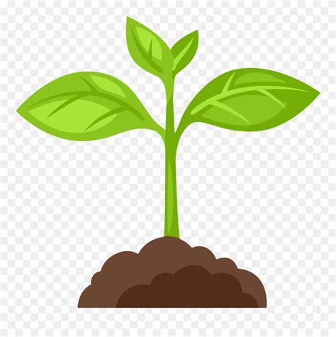 Plant Clipart Png Download 5642296 Pinclipart