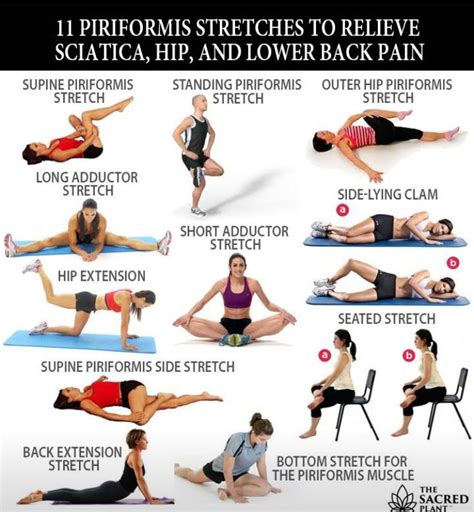 pin by sharon matthews on health and wellness piriformis muscle piriformis stretch exercise