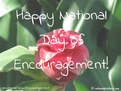 Happy National Day Of Encouragement In Beautiful Chaos