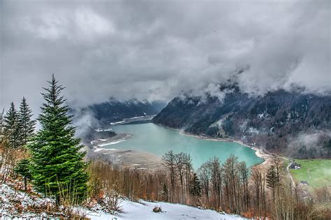 Free Download Pine Tree Near Lake Under Cloudy Sky Klöntal Creative