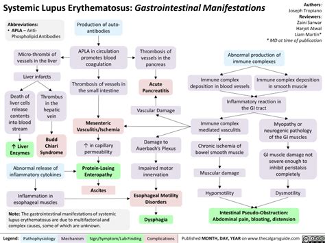 Systemic Lupus Erythematosus Gastrointestinal Manifestations Calgary