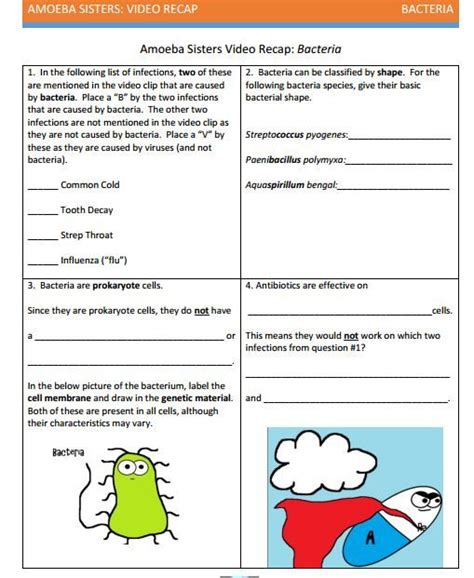 This handout can make a great exit ticket supplement so that monohybrids with punnett squares handout made by the amoeba sisters. Bacteria handout by Amoeba Sisters. Visit website to download the PDF. | Learning science ...