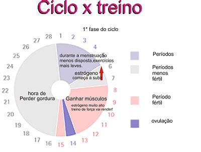 Sandra Falc O Treino De Quinta Ciclo Menstrual X Treino