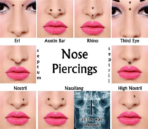 Most piercing shops don't include jewelry in their prices, so expect to pay around $30 for a simple nostril piercing if you buy the jewel from somewhere else. 12 Types Of Body Piercing That Are Popular Worldwide ...