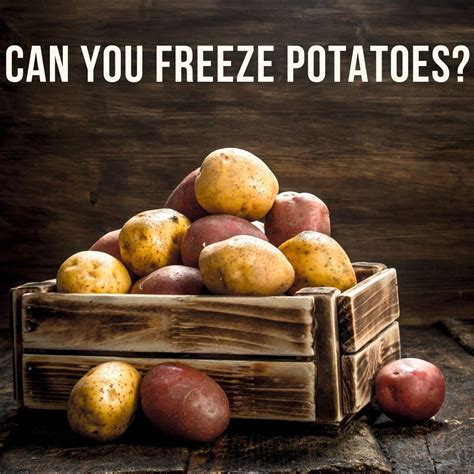 Learn how to freeze your sweet potatoes for up to one year in your freezer no matter if they're boiled, baked, or mashed with this helpful guide. Can You Freeze Potatoes? Here's All You Should Know