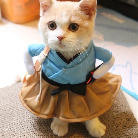 High Quality Pet Costume Cats Dress Funny Cat Clothes Cute Dress Up