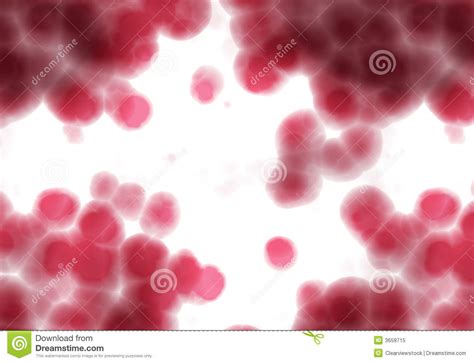 Red Blood Cells Microscope Royalty Free Stock Photo