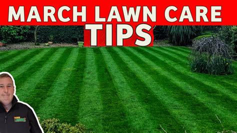 A Cheap Easy Way To Make Your Lawn Green Diy Lawn Care For Beginners