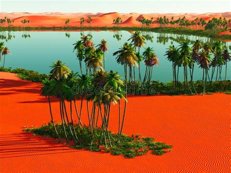 African Oasis Stock Photo Image Of Dune Nature Palm 34494314