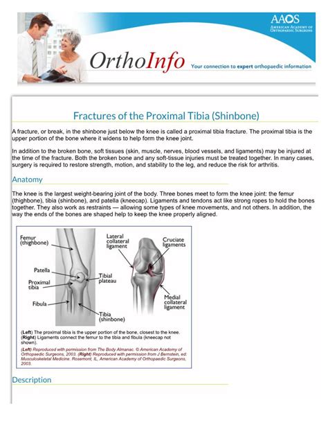 Fractures Of The Proximal Tibia Shinbone Docslib