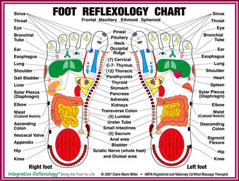 Have You Tried Foot Reflexology Nourish Inside Out