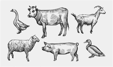 Premium Vector Hand Drawn Sketch Set Of Farming Animals Livestock