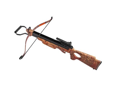 The Truth About The Dangers Of Crossbows Your Questions Answered