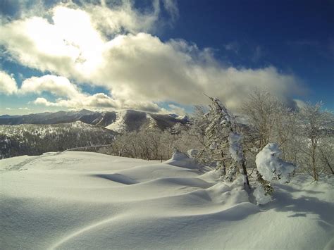 Where Is The Best Powder Snow In Hokkaido Today Hokkaido Outdoor