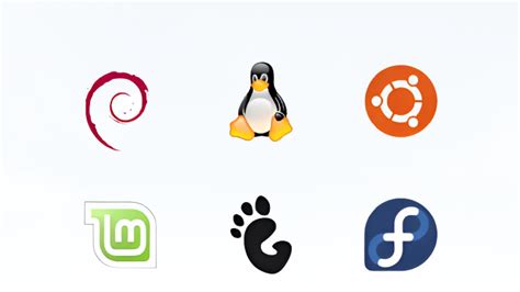 Las 10 Mejores Distribuciones De Linux En 2022 Para Todo El Mundo
