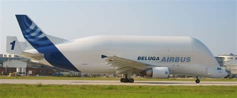 The beluga is actually a modification of different airbus model. Rolls Royce Trent 700 selected for Airbus Beluga XL. Rolls ...