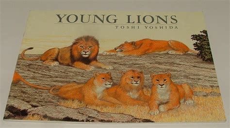 Young Lions By Toshi Yoshida Wonderful Kids Book That Deserves More