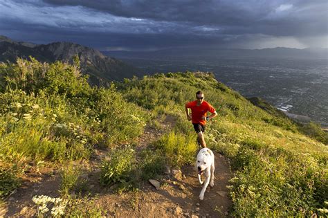 Dog Friendly Hiking Trails Near Salt Lake City Dog