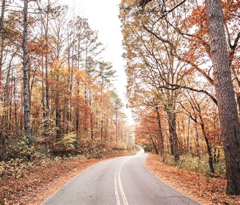 The Best Fall Foliage Trips In The Usa Everyday Runaway