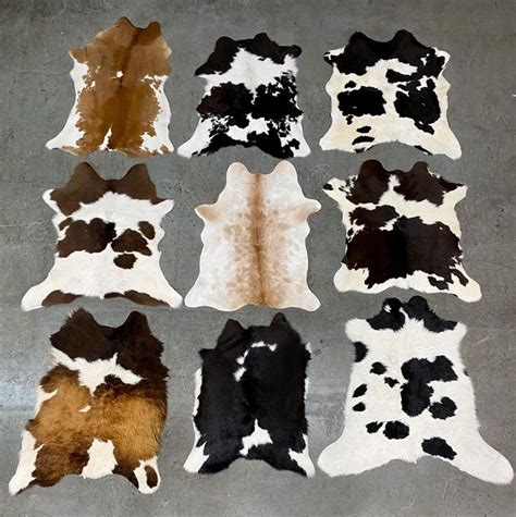 Maybe you would like to learn more about one of these? 100 % Real Calf Hide/ Cow Skin Cowhide Rug Leather Area ...