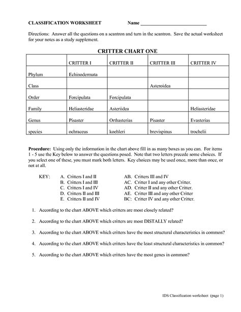 Cu & zn 6 e. 18 Best Images of Classification Key Worksheet Answer ...