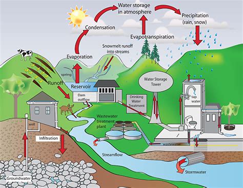 How Do Humans Impact The Water Cycle Example