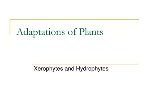 Ppt Adaptations Of Plants Powerpoint Presentation Free Download Id