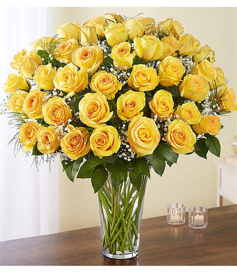 2 Dozen Yellow Roses Sunny Flower Delivery