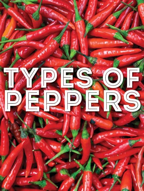 29 types of peppers from mild to hot with photos