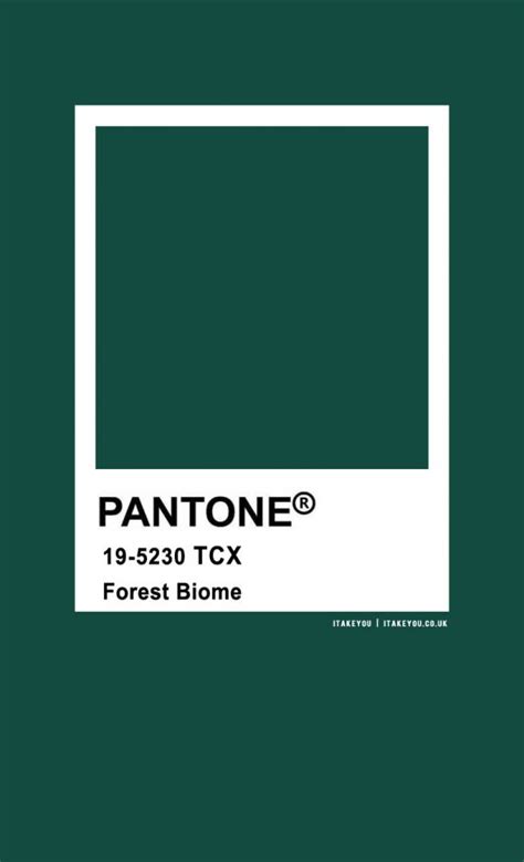 Pantone Color Pantone Forest Biome Color I Take You Wedding