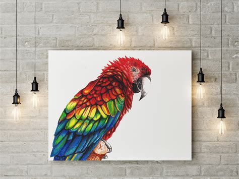 Macaw Parrot Crayons Drawing On Behance